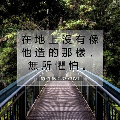 Picture 07 - 約 伯 記 41:33 CUVT - 在 地 上 沒 有 像 他 造 的 那 樣 ， - Bible Verse Picture
