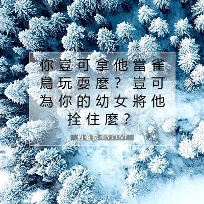 Picture 07 - 約 伯 記 41:5 CUVT - 你 豈 可 拿 他 當 雀 鳥 玩 耍 麼 ？ - Bible Verse Picture