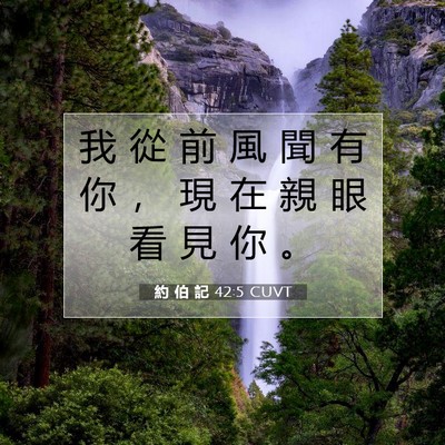 Picture 07 - 約 伯 記 42:5 CUVT - 我 從 前 風 聞 有 你 ， 現 在 親 眼 - Bible Verse Picture