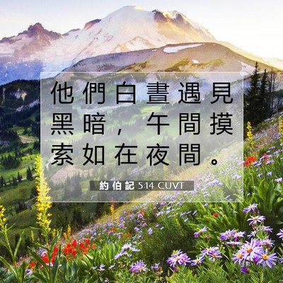 Picture 07 - 約 伯 記 5:14 CUVT - 他 們 白 晝 遇 見 黑 暗 ， 午 間 摸 - Bible Verse Picture