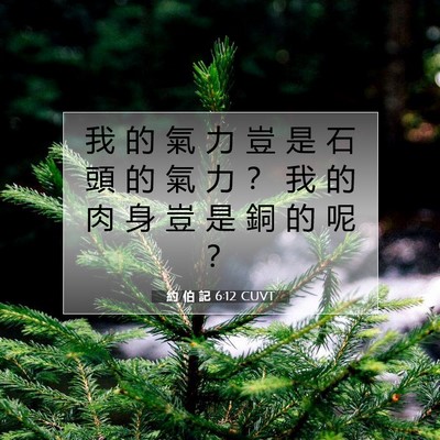 Picture 07 - 約 伯 記 6:12 CUVT - 我 的 氣 力 豈 是 石 頭 的 氣 力 ？ - Bible Verse Picture