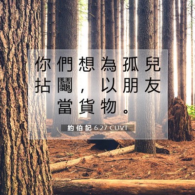 Picture 07 - 約 伯 記 6:27 CUVT - 你 們 想 為 孤 兒 拈 鬮 ， 以 朋 友 - Bible Verse Picture