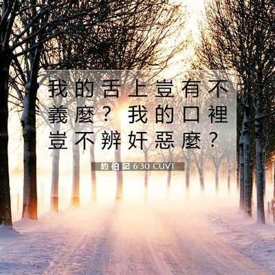 Picture 07 - 約 伯 記 6:30 CUVT - 我 的 舌 上 豈 有 不 義 麼 ？ 我 的 - Bible Verse Picture