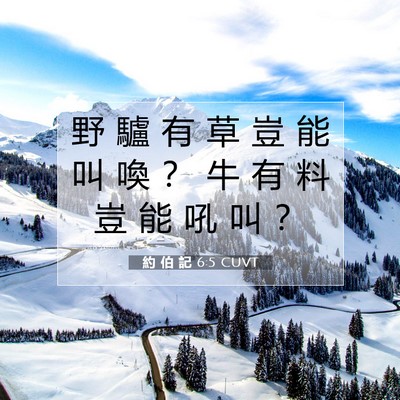Picture 07 - 約 伯 記 6:5 CUVT - 野 驢 有 草 豈 能 叫 喚 ？ 牛 有 料 - Bible Verse Picture