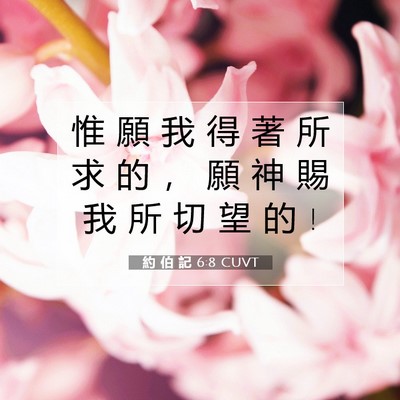 Picture 07 - 約 伯 記 6:8 CUVT - 惟 願 我 得 著 所 求 的 ， 願 神 賜 - Bible Verse Picture