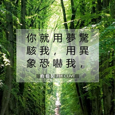 Picture 07 - 約 伯 記 7:14 CUVT - 你 就 用 夢 驚 駭 我 ， 用 異 象 恐 - Bible Verse Picture
