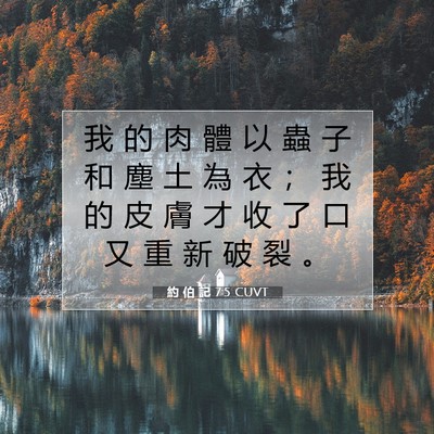 Picture 07 - 約 伯 記 7:5 CUVT - 我 的 肉 體 以 蟲 子 和 塵 土 為 衣 - Bible Verse Picture