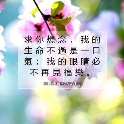 Picture 07 - 約 伯 記 7:7 CUVT - 求 你 想 念 ， 我 的 生 命 不 過 是 - Bible Verse Picture