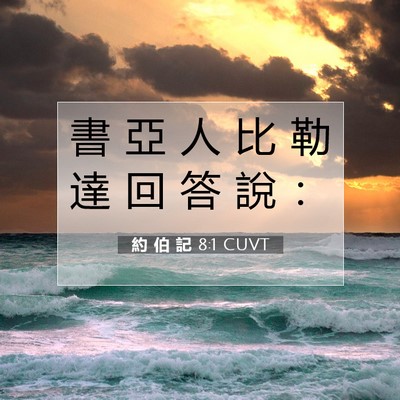 Picture 07 - 約 伯 記 8:1 CUVT - 書 亞 人 比 勒 達 回 答 說 - Bible Verse Picture
