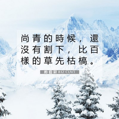 Picture 07 - 約 伯 記 8:12 CUVT - 尚 青 的 時 候 ， 還 沒 有 割 下 ， - Bible Verse Picture