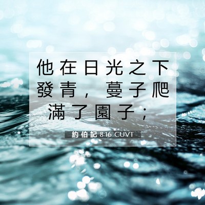 Picture 07 - 約 伯 記 8:16 CUVT - 他 在 日 光 之 下 發 青 ， 蔓 子 爬 - Bible Verse Picture