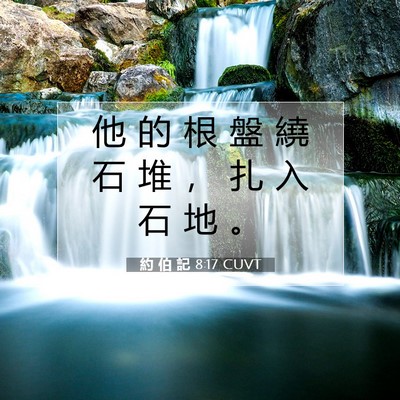 Picture 07 - 約 伯 記 8:17 CUVT - 他 的 根 盤 繞 石 堆 ， 扎 入 石 地 - Bible Verse Picture