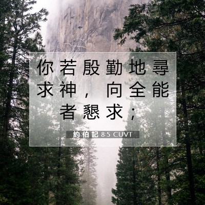 Picture 07 - 約 伯 記 8:5 CUVT - 你 若 殷 勤 地 尋 求 神 ， 向 全 能 - Bible Verse Picture