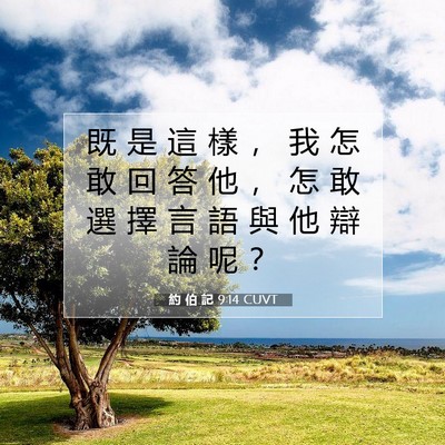Picture 07 - 約 伯 記 9:14 CUVT - 既 是 這 樣 ， 我 怎 敢 回 答 他 ， - Bible Verse Picture