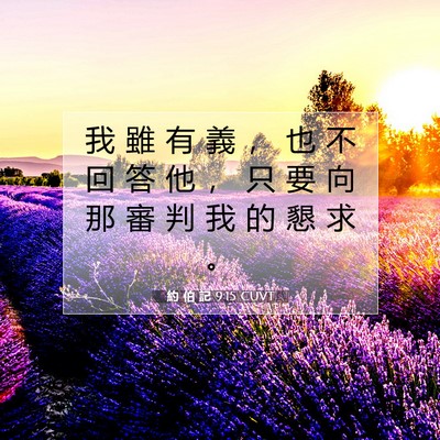 Picture 07 - 約 伯 記 9:15 CUVT - 我 雖 有 義 ， 也 不 回 答 他 ， 只 - Bible Verse Picture