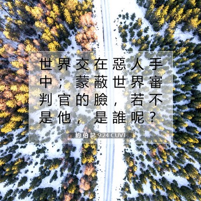 Picture 07 - 約 伯 記 9:24 CUVT - 世 界 交 在 惡 人 手 中 ； 蒙 蔽 世 - Bible Verse Picture
