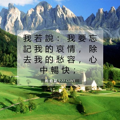 Picture 07 - 約 伯 記 9:27 CUVT - 我 若 說 ： 我 要 忘 記 我 的 哀 情 - Bible Verse Picture