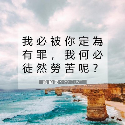 Picture 07 - 約 伯 記 9:29 CUVT - 我 必 被 你 定 為 有 罪 ， 我 何 必 - Bible Verse Picture