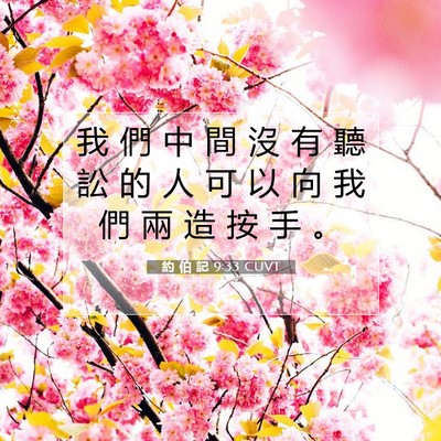 Picture 07 - 約 伯 記 9:33 CUVT - 我 們 中 間 沒 有 聽 訟 的 人 可 以 - Bible Verse Picture