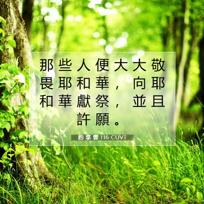 Picture 07 - 約 拿 書 1:16 CUVT - 那 些 人 便 大 大 敬 畏 耶 和 華 ， - Bible Verse Picture