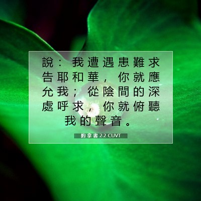 Picture 07 - 約 拿 書 2:2 CUVT - 說 ： 我 遭 遇 患 難 求 告 耶 和 華 - Bible Verse Picture
