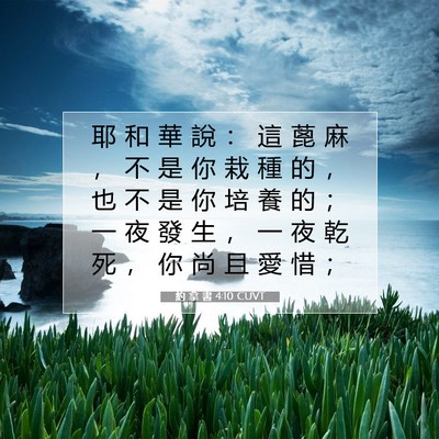 Picture 07 - 約 拿 書 4:10 CUVT - 耶 和 華 說 ： 這 蓖 麻 ， 不 是 你 - Bible Verse Picture