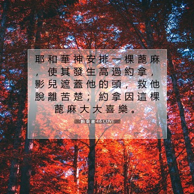 Picture 07 - 約 拿 書 4:6 CUVT - 耶 和 華 神 安 排 一 棵 蓖 麻 ， 使 - Bible Verse Picture