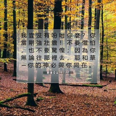 Picture 07 - 約 書 亞 記 1:9 CUVT - 我 豈 沒 有 吩 咐 你 麼 ？ 你 當 剛 - Bible Verse Picture