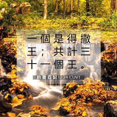 Picture 07 - 約 書 亞 記 12:24 CUVT - 一 個 是 得 撒 王 ； 共 計 三 十 一 - Bible Verse Picture