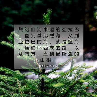 Picture 07 - 約 書 亞 記 12:3 CUVT - 與 約 但 河 東 邊 的 亞 拉 巴 ， 直 - Bible Verse Picture