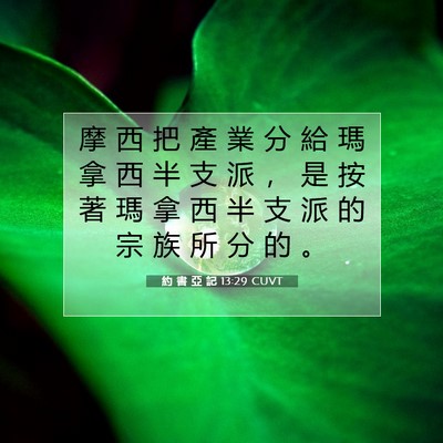 Picture 07 - 約 書 亞 記 13:29 CUVT - 摩 西 把 產 業 分 給 瑪 拿 西 半 支 - Bible Verse Picture
