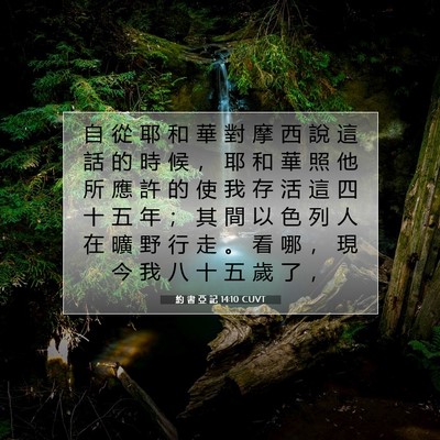 Picture 07 - 約 書 亞 記 14:10 CUVT - 自 從 耶 和 華 對 摩 西 說 這 話 的 - Bible Verse Picture