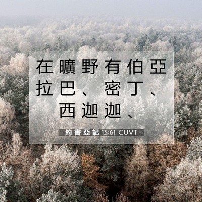 Picture 07 - 約 書 亞 記 15:61 CUVT - 在 曠 野 有 伯 亞 拉 巴 、 密 丁 、 - Bible Verse Picture