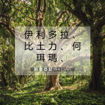 Picture 07 - 約 書 亞 記 19:4 CUVT - 伊 利 多 拉 、 比 土 力 、 何 珥 瑪 - Bible Verse Picture