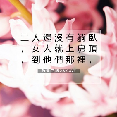Picture 07 - 約 書 亞 記 2:8 CUVT - 二 人 還 沒 有 躺 臥 ， 女 人 就 上 - Bible Verse Picture