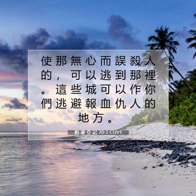Picture 07 - 約 書 亞 記 20:3 CUVT - 使 那 無 心 而 誤 殺 人 的 ， 可 以 - Bible Verse Picture