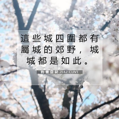 Picture 07 - 約 書 亞 記 21:42 CUVT - 這 些 城 四 圍 都 有 屬 城 的 郊 野 - Bible Verse Picture