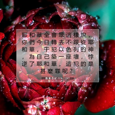 Picture 07 - 約 書 亞 記 22:16 CUVT - 耶 和 華 全 會 眾 這 樣 說 ， 你 們 - Bible Verse Picture