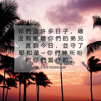 Picture 07 - 約 書 亞 記 22:3 CUVT - 你 們 這 許 多 日 子 ， 總 沒 有 撇 - Bible Verse Picture