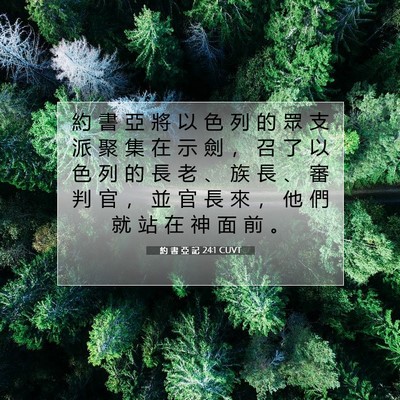 Picture 07 - 約 書 亞 記 24:1 CUVT - 約 書 亞 將 以 色 列 的 眾 支 派 聚 - Bible Verse Picture