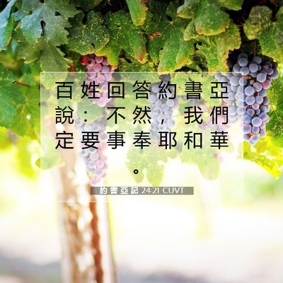 Picture 07 - 約 書 亞 記 24:21 CUVT - 百 姓 回 答 約 書 亞 說 ： 不 然 ， - Bible Verse Picture