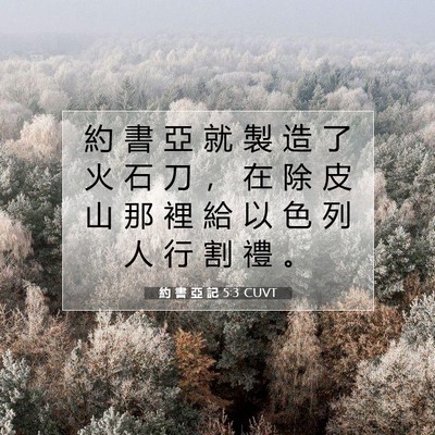 Picture 07 - 約 書 亞 記 5:3 CUVT - 約 書 亞 就 製 造 了 火 石 刀 ， 在 - Bible Verse Picture