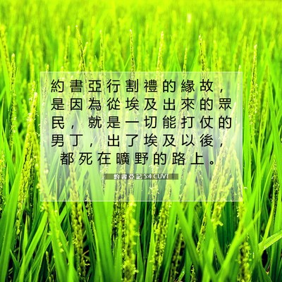 Picture 07 - 約 書 亞 記 5:4 CUVT - 約 書 亞 行 割 禮 的 緣 故 ， 是 因 - Bible Verse Picture