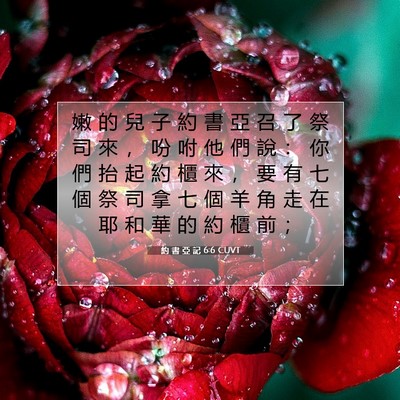 Picture 07 - 約 書 亞 記 6:6 CUVT - 嫩 的 兒 子 約 書 亞 召 了 祭 司 來 - Bible Verse Picture