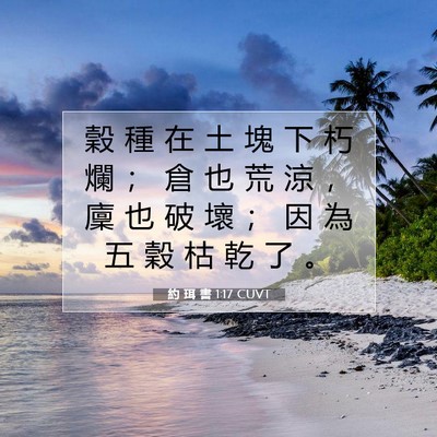 Picture 07 - 約 珥 書 1:17 CUVT - 穀 種 在 土 塊 下 朽 爛 ； 倉 也 荒 - Bible Verse Picture