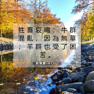 Picture 07 - 約 珥 書 1:18 CUVT - 牲 畜 哀 鳴 ； 牛 群 混 亂 ， 因 為 - Bible Verse Picture