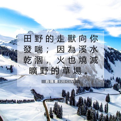 Picture 07 - 約 珥 書 1:20 CUVT - 田 野 的 走 獸 向 你 發 喘 ； 因 為 - Bible Verse Picture