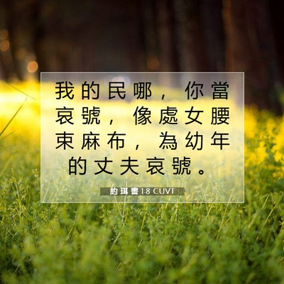 Picture 07 - 約 珥 書 1:8 CUVT - 我 的 民 哪 ， 你 當 哀 號 ， 像 處 - Bible Verse Picture