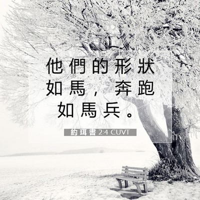 Picture 07 - 約 珥 書 2:4 CUVT - 他 們 的 形 狀 如 馬 ， 奔 跑 如 馬 - Bible Verse Picture