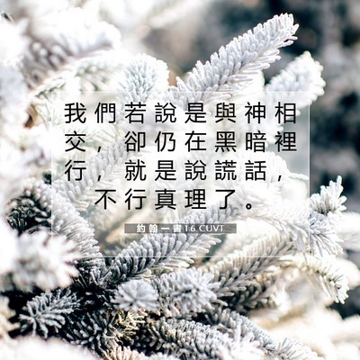 Picture 07 - 約 翰 一 書 1:6 CUVT - 我 們 若 說 是 與 神 相 交 ， 卻 仍 - Bible Verse Picture
